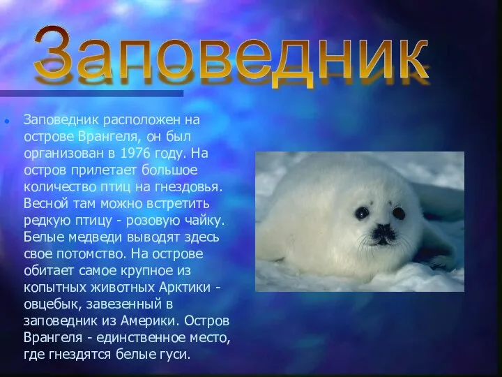 Заповедник расположен на острове Врангеля, он был организован в 1976 году.