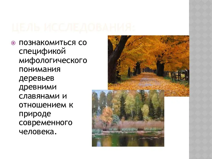 ЦЕЛЬ ИССЛЕДОВАНИЯ: познакомиться со спецификой мифологического понимания деревьев древними славянами и отношением к природе современного человека.