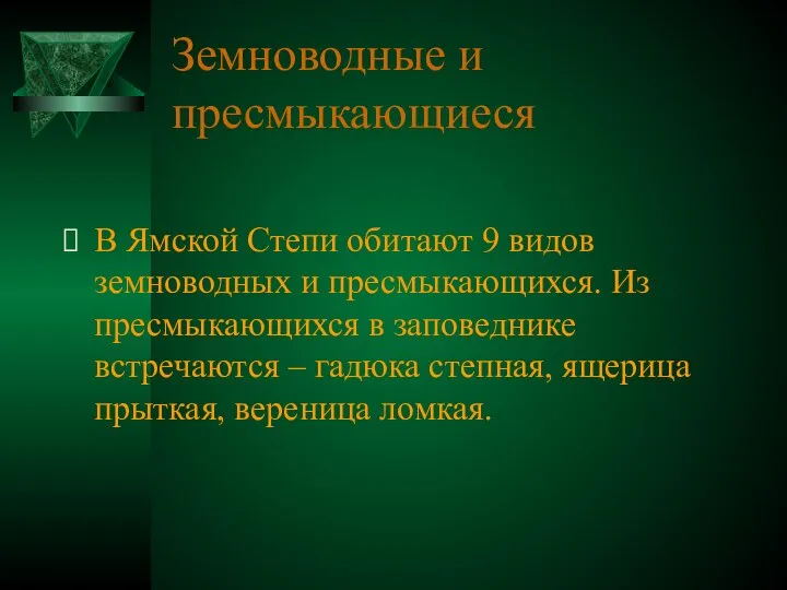 Земноводные и пресмыкающиеся В Ямской Степи обитают 9 видов земноводных и