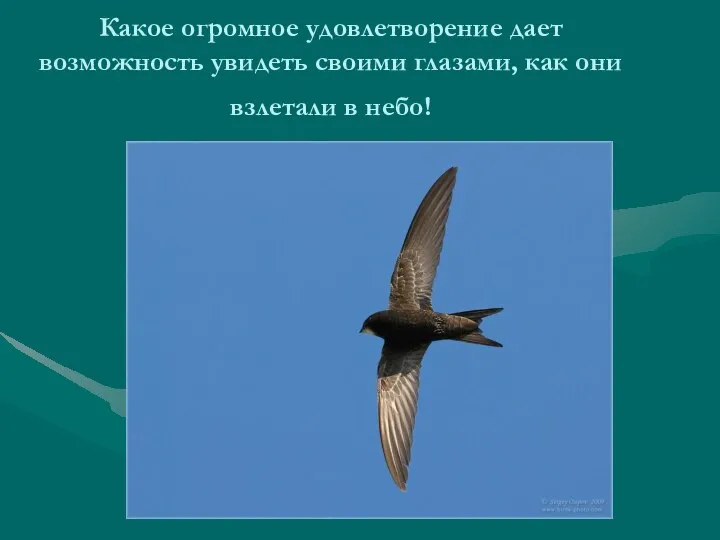 Какое огромное удовлетворение дает возможность увидеть своими глазами, как они взлетали в небо!