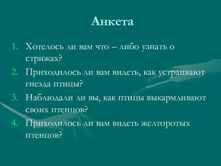 Анкета Хотелось ли вам что – либо узнать о стрижах? Приходилось