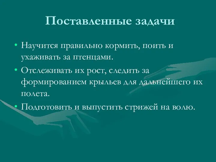 Поставленные задачи Научится правильно кормить, поить и ухаживать за птенцами. Отслеживать