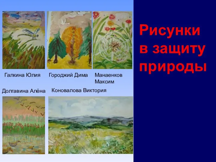 Рисунки в защиту природы Галкина Юлия Городжий Дима Долгавина Алёна Коновалова Виктория Манаенков Максим