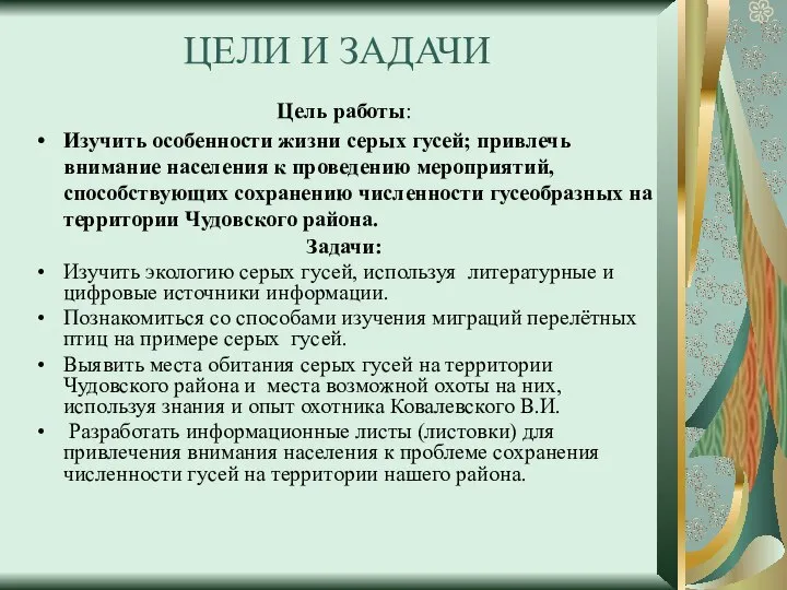 ЦЕЛИ И ЗАДАЧИ Цель работы: Изучить особенности жизни серых гусей; привлечь