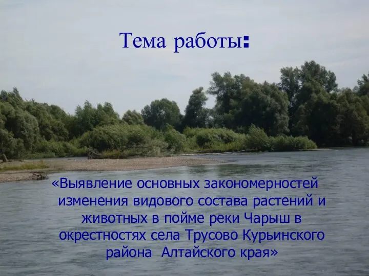 Тема работы: «Выявление основных закономерностей изменения видового состава растений и животных