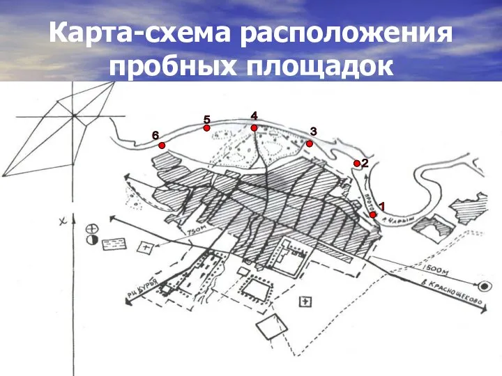 Карта-схема расположения пробных площадок 1 2 3 4 5 6