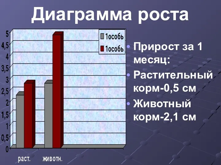 Диаграмма роста Прирост за 1 месяц: Растительный корм-0,5 см Животный корм-2,1 см