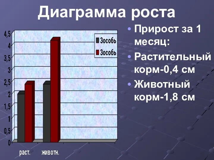 Диаграмма роста Прирост за 1 месяц: Растительный корм-0,4 см Животный корм-1,8 см