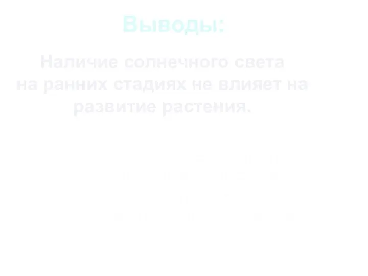 Выводы: Наличие солнечного света на ранних стадиях не влияет на развитие