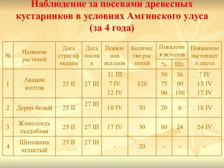 Наблюдение за посевами древесных кустарников в условиях Амгинского улуса (за 4 года)