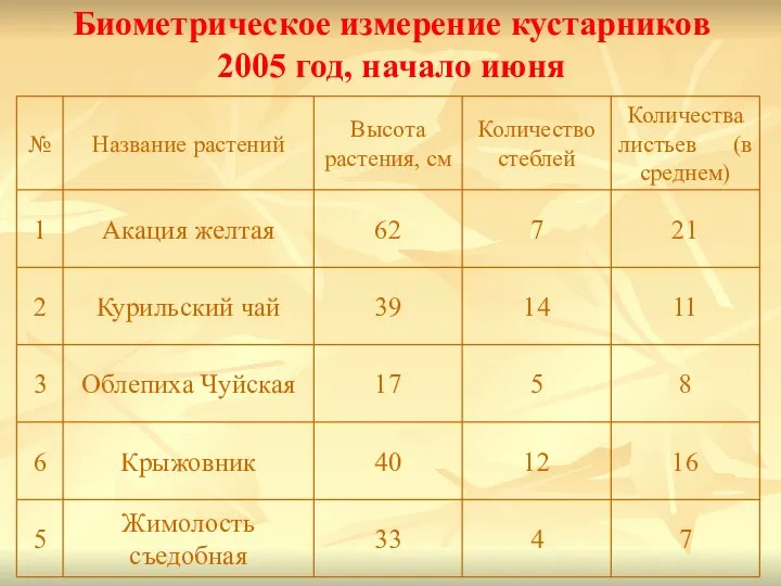 Биометрическое измерение кустарников 2005 год, начало июня