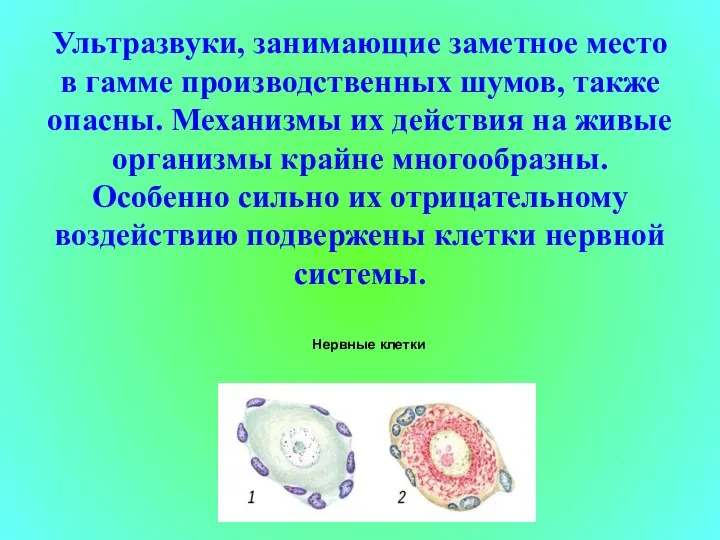 Ультразвуки, занимающие заметное место в гамме производственных шумов, также опасны. Механизмы