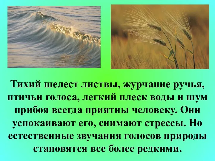 Тихий шелест листвы, журчание ручья, птичьи голоса, легкий плеск воды и