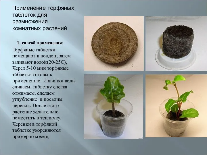Применение торфяных таблеток для размножения комнатных растений 1- способ применения: Торфяные