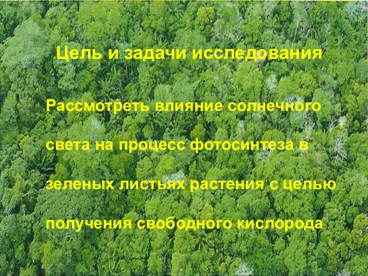 Цель и задачи исследования Рассмотреть влияние солнечного света на процесс фотосинтеза