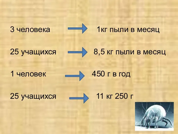 3 человека 1кг пыли в месяц 25 учащихся 8,5 кг пыли