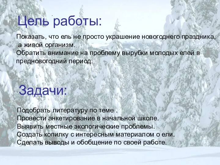 Цель работы: . Показать, что ель не просто украшение новогоднего праздника,