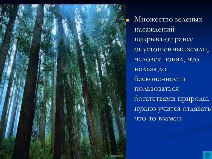 Множество зеленых насаждений покрывают ранее опустошенные земли, человек понял, что нельзя