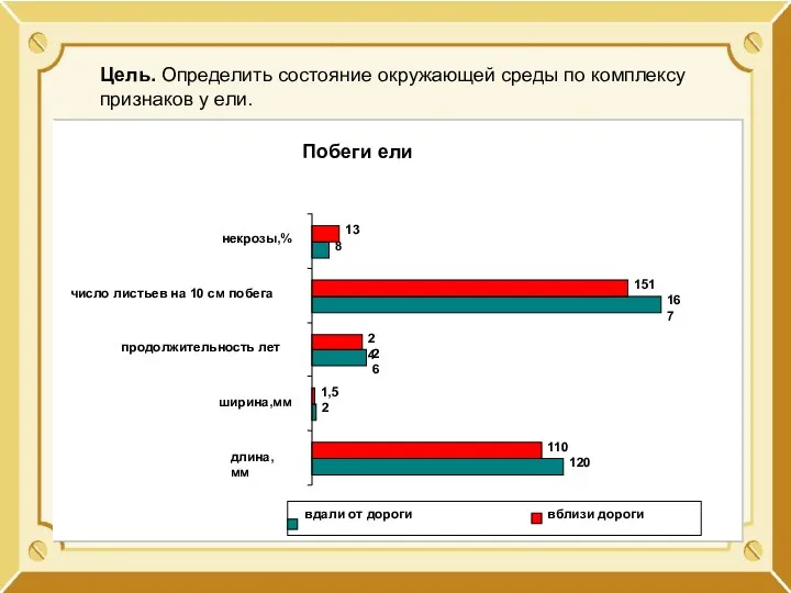 Цель. Определить состояние окружающей среды по комплексу признаков у ели.