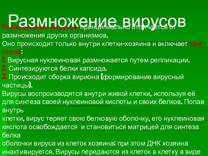 Размножение вирусов принципиально отличается от размножения других организмов. Оно происходит только