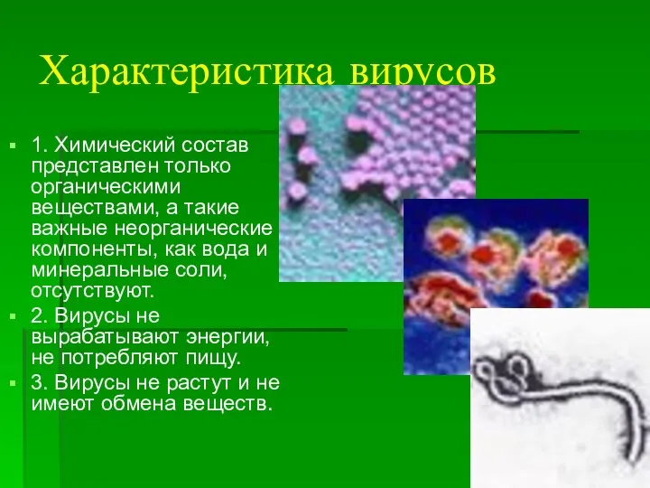 Характеристика вирусов 1. Химический состав представлен только органическими веществами, а такие