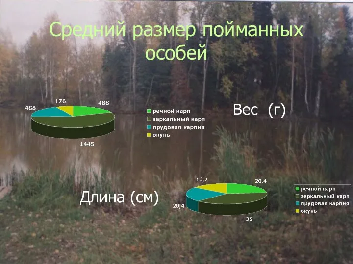 Средний размер пойманных особей Вес (г) Длина (см)