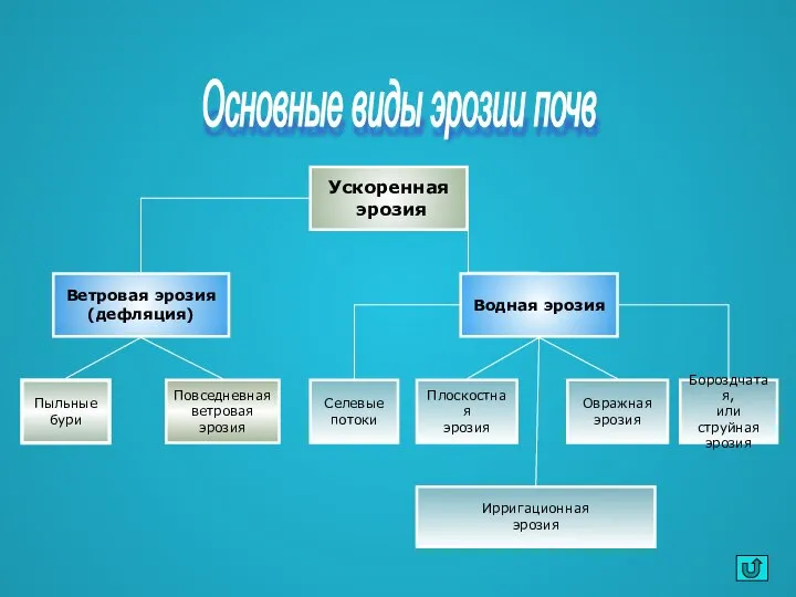 Основные виды эрозии почв Ускоренная эрозия Водная эрозия Ветровая эрозия (дефляция)