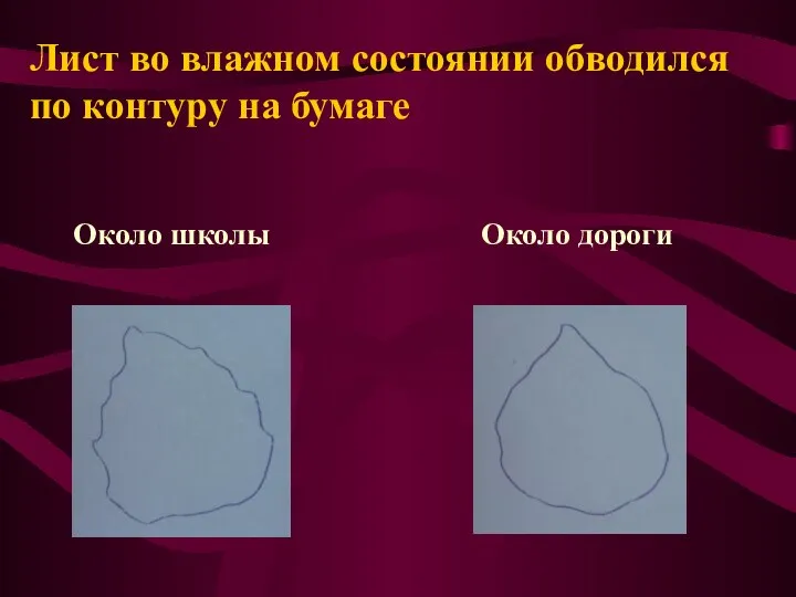 Лист во влажном состоянии обводился по контуру на бумаге Около школы Около дороги