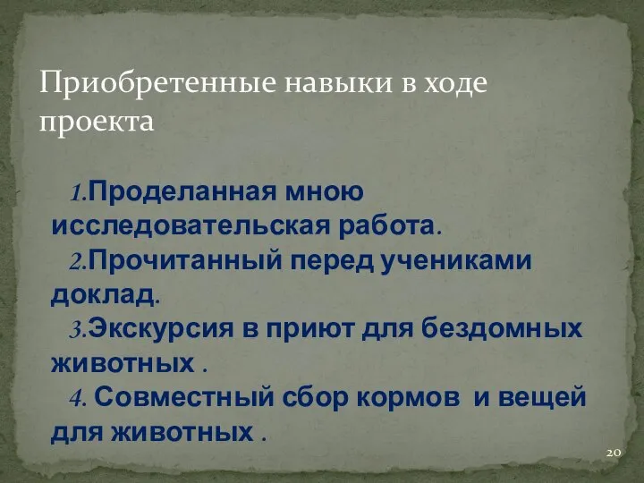 Приобретенные навыки в ходе проекта 1.Проделанная мною исследовательская работа. 2.Прочитанный перед