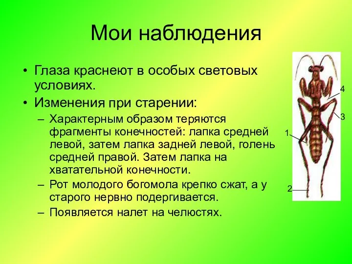 Мои наблюдения Глаза краснеют в особых световых условиях. Изменения при старении: