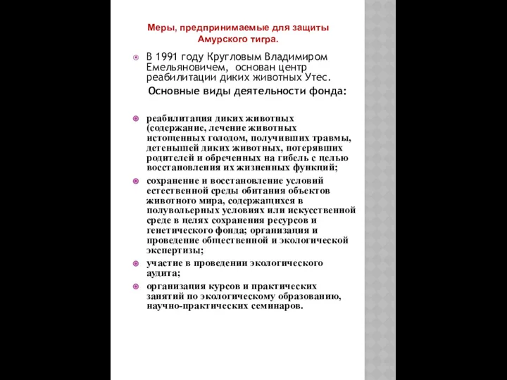 Меры, предпринимаемые для защиты Амурского тигра. В 1991 году Кругловым Владимиром