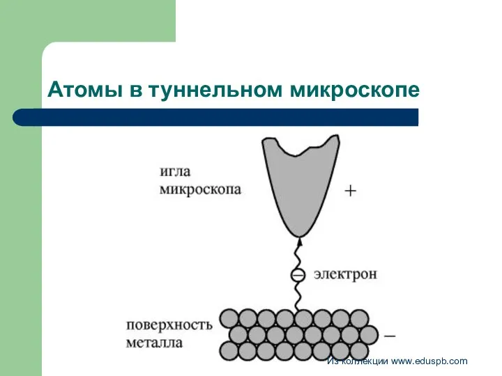 Атомы в туннельном микроскопе Из коллекции www.eduspb.com