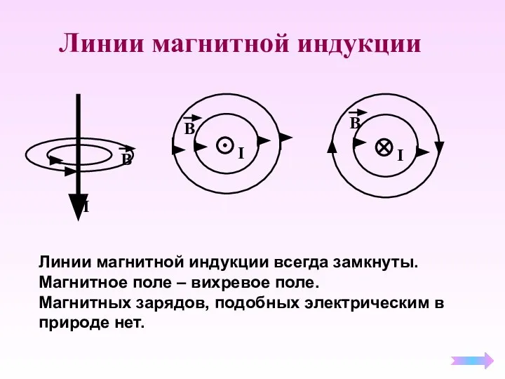 Линии магнитной индукции Линии магнитной индукции всегда замкнуты. Магнитное поле –