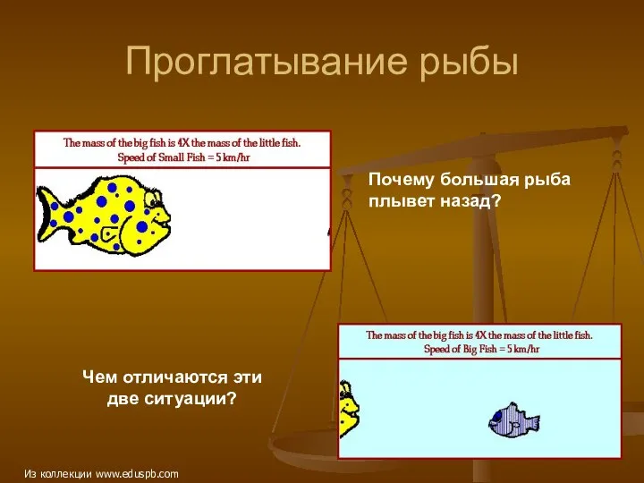 Чем отличаются эти две ситуации? Проглатывание рыбы Почему большая рыба плывет назад? Из коллекции www.eduspb.com