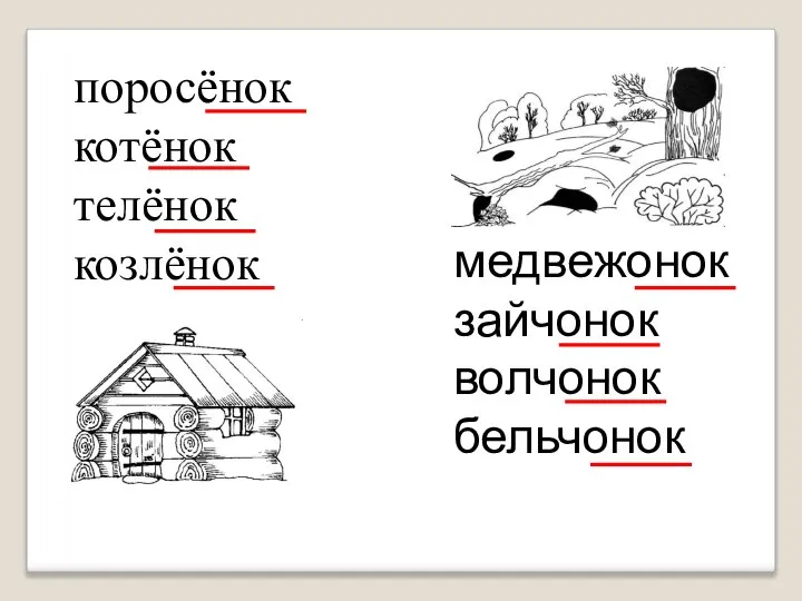 поросёнок котёнок телёнок козлёнок медвежонок зайчонок волчонок бельчонок