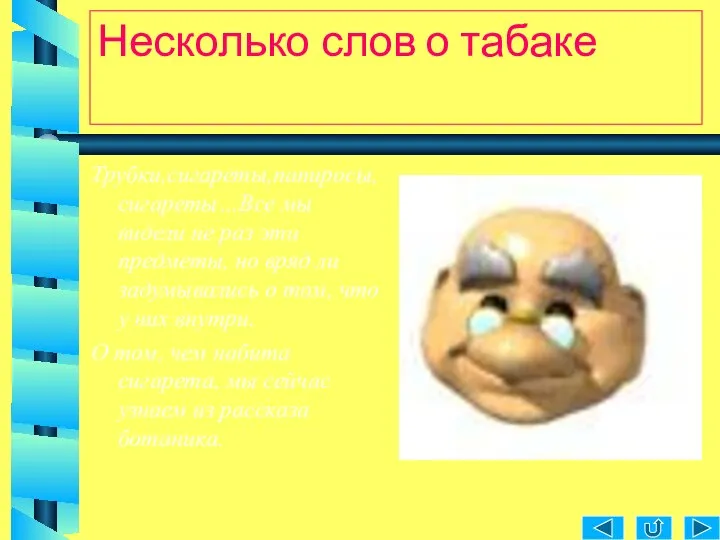 Несколько слов о табаке Трубки,сигареты,папиросы,сигареты…Все мы видели не раз эти предметы,