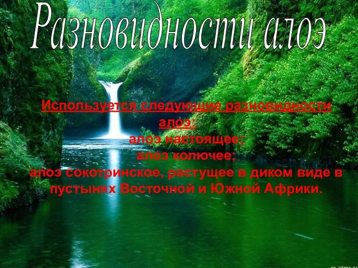 Используется следующие разновидности алоэ: алоэ настоящее; алоэ колючее; алоэ сокотринское, растущее