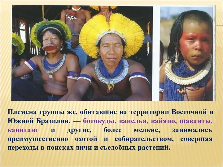 Племена группы же, обитавшие на территории Восточной и Южной Бразилии, —