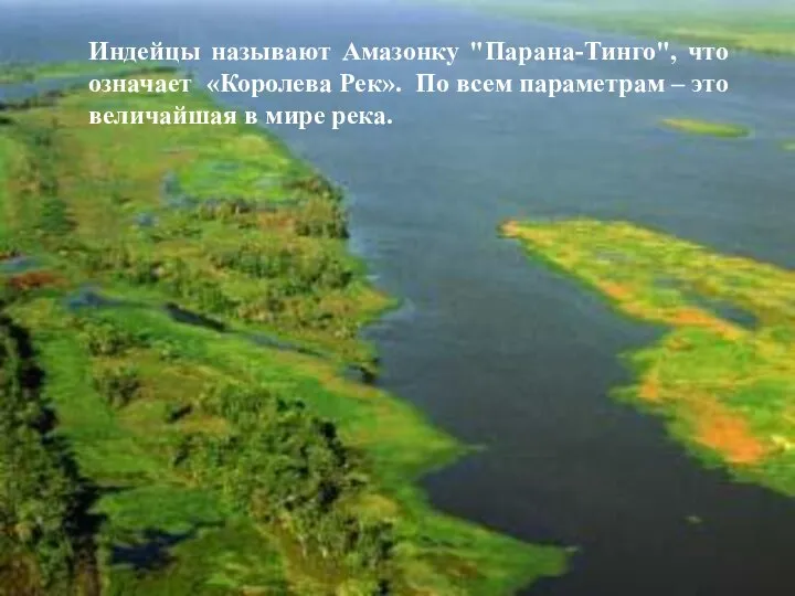 Индейцы называют Амазонку "Парана-Тинго", что означает «Королева Рек». По всем параметрам