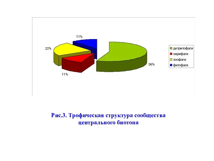 Рис.3. Трофическая структура центрального биотопа Рис.3. Трофическая структура сообщества центрального биотопа