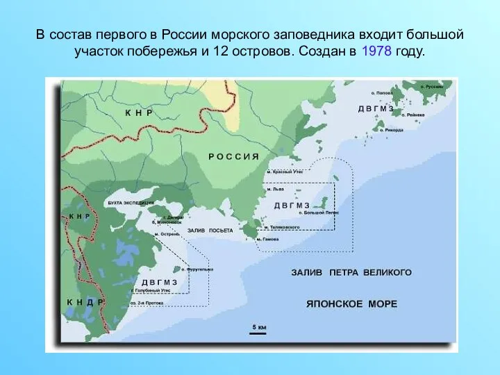 В состав первого в России морского заповедника входит большой участок побережья