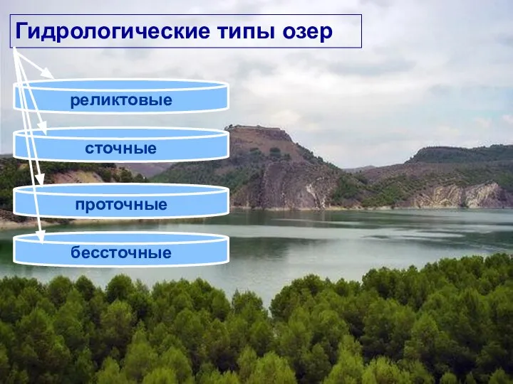 Гидрологические типы озер реликтовые сточные проточные бессточные