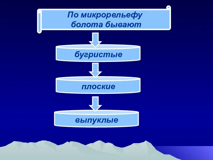 По микрорельефу болота бывают бугристые плоские выпуклые