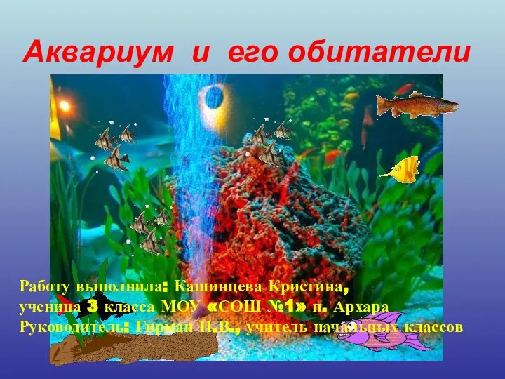 Аквариум и его обитатели Работу выполнила: Кашинцева Кристина, ученица 3 класса