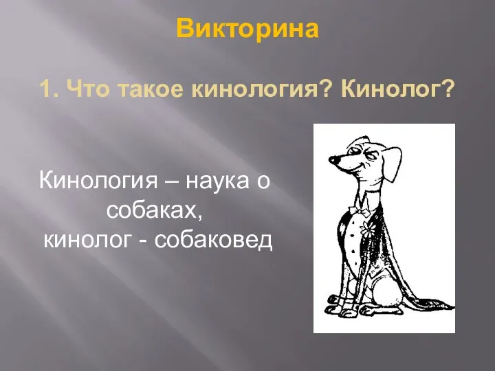 Викторина 1. Что такое кинология? Кинолог? Кинология – наука о собаках, кинолог - собаковед