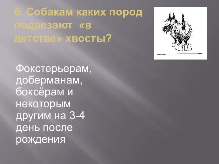 6. Собакам каких пород подрезают «в детстве» хвосты? Фокстерьерам, доберманам, боксёрам