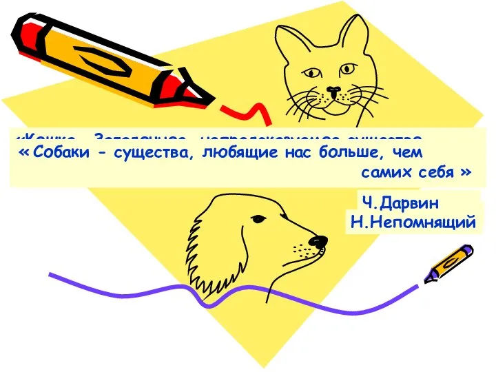 «Симпатия, испытываемая человеком ко всем живым существам, делает его настоящим человеком».