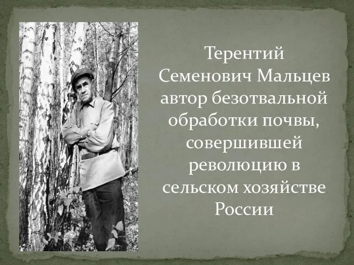 Терентий Семенович Мальцев автор безотвальной обработки почвы, совершившей революцию в сельском хозяйстве России