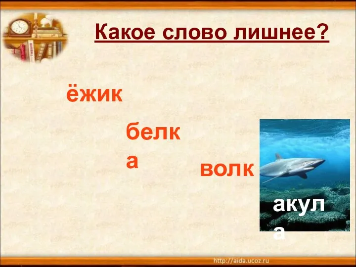 Какое слово лишнее? ёжик белка волк акула