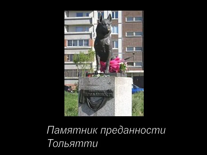 Памятник преданности Тольятти